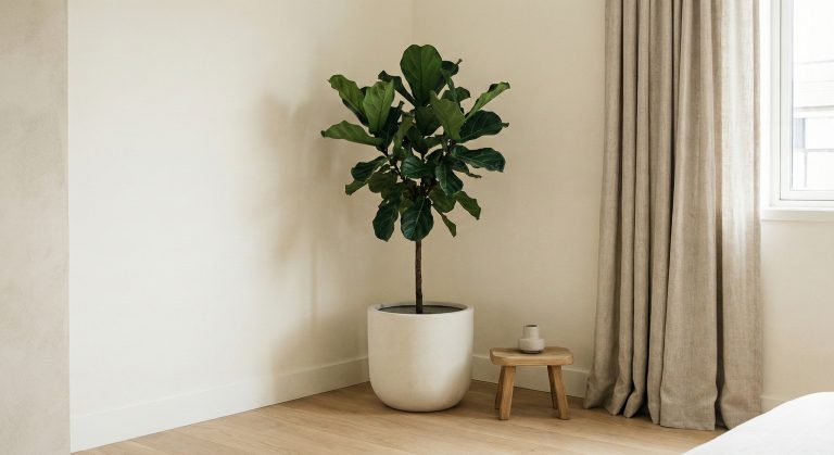 Crafting the Perfect Blog Structure: A Guide for Effective Blogging